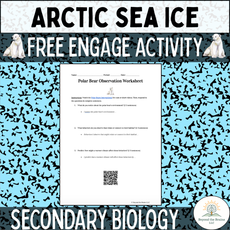 FREE Climate Change Engage Activity: Polar Bear Observation (NGSS HS Biology)