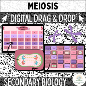 Meiosis High School Biology Digital Matching Activity Review (NGSS Aligned)