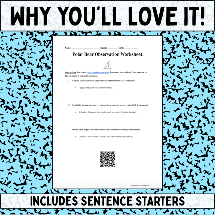 FREE Climate Change Engage Activity: Polar Bear Observation (NGSS HS Biology) - preview page 3